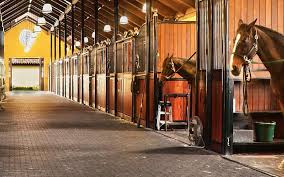 Best 5 Essential Features Every Modern Horse Stable Must Have